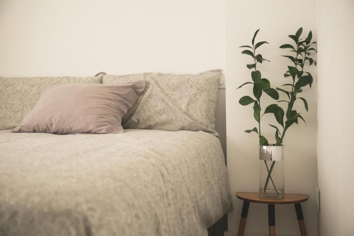 Romantico Apartamento En El Centro Santander Bagian luar foto